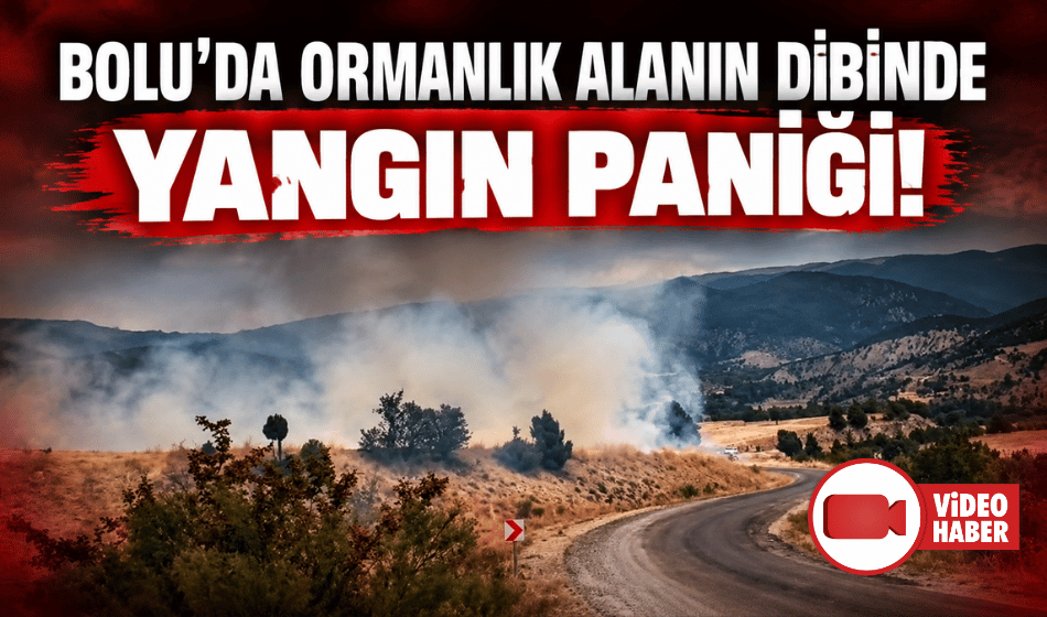 Bolu’da arazi yangını ormanlık alana ulaşmadan söndürüldü