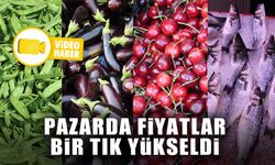 PAZARDA FİYATLAR BİR TIK YÜKSELDİ