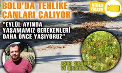 BOLU’DA GENİŞ YAPRAKLI AĞAÇLARDA SARARMA BAŞLADI
