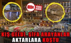 KIŞ GELDİ, ŞİFA ARAYANLAR AKTARLARA KOŞTU