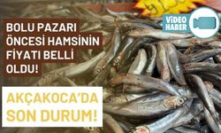 AKÇOKOCA’DA HAMSİNİN FİYATI 150 LİRA OLDU
