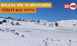 BOLU'DA GÖL VE GÖLETLERİN YÜZEYİ DONDU