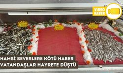 HAMSİ SEVENLERE KÖTÜ HABER
