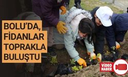 BOLU’DA YÜZLERCE FİDAN DİKİLDİ