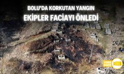 MEZARLIKTA ÇIKAN YANGIN ORMANA SIÇRAMADAN SÖNDÜRÜLDÜ