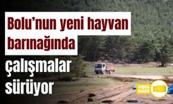 Bolu’nun yeni hayvan barınağında çalışmalar sürüyor