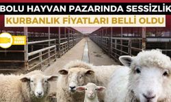 BAYRAMA GÜNLER KALA HAYVAN PAZARINDA SESSİZLİK: “Alıcı Da Satıcı Da Kararsız”