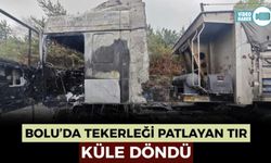 LASTİĞİ PATLAYARAK ALEV ALAN TIR KÜLE DÖNDÜ