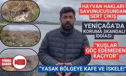Yeniçağa Gölünde koruma skandalı iddiası: Kuşlar göç edemeden kaçıyor
