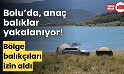 ANAÇ SAZAN BALIĞI YAKALAMAK İÇİN BÖLGE BALIKÇILARI GÖREVLENDİRİLDİ