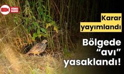 KEKLİK AVININ YASAKLANDIĞI DUYURULDU