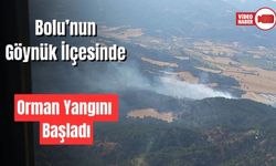 BOLU'DA ORMAN YANGINI