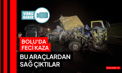 Anadolu Otoyolu'nda kamyon ile tırın çarpışması sonucu 1 kişi yaralandı