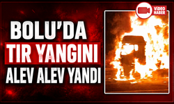 Anadolu Otoyolu'nda tavuk eti yüklü tırda çıkan yangın söndürüldü