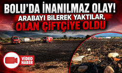 Demirini satmak için yaktıkları kanepe, 10 dönümlük tarlayı küle çevirdi