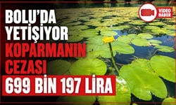 Bolu'da bu çiçeği koparmanın cezası 699 bin 197 lira