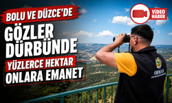 Bolu ve Düzce'de 656 bin hektar ormanlık alan 24 saat gözetim altında