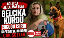 Bolu’da Belçika kurdu çocuğu kalçasından ısırdı, sahibinin sözleri pes dedirtti