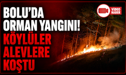 Bolu'da orman yangını paniği: Köylülerin hızlı müdahalesi faciayı önledi
