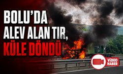 Bolu'da seyir halindeki tır alevlere teslim oldu