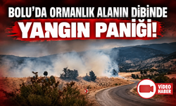 Bolu’da arazi yangını ormanlık alana ulaşmadan söndürüldü