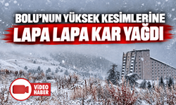 Bolu'nun yüksek kesimlerine kar yağdı