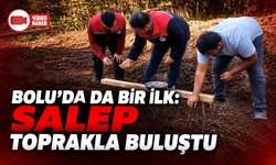 Yeniçağa'da alternatif tarımsal üretim için ilk kez salep ekildi