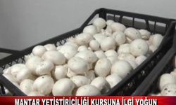 MANTAR YETİŞTİRİCİLİĞİ KURSUNA İLGİ YOĞUN