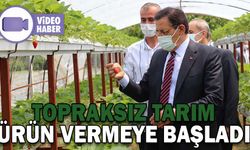 TOPRAKSIZ TARIM ÜRÜN VERMEYE BAŞLADI