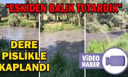 YEŞİLİN ORTASINDAKİ DERENİN ÜSTÜ PİSLİKLE KAPLANDI