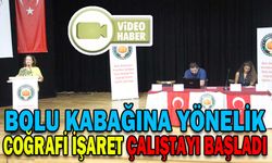 BOLU KABAĞINA YÖNELİK COĞRAFİ İŞARET ÇALIŞTAYI BAŞLADI