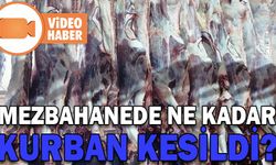 MEZBAHANEDE NE KADAR KURBAN KESİLDİ?