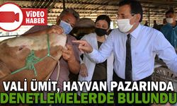 VALİ ÜMİT, HAYVAN PAZARINDA DENETLEMELERDE BULUNDU