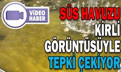 SÜS HAVUZU YOSUN BAĞLADI, ÇÖPLERLE DOLDU
