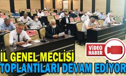 İL GENEL MECLİSİ TOPLANTILARI DEVAM EDİYOR
