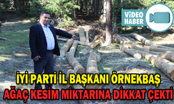 ÖRNEKBAŞ, AĞAÇ KESİM MİKTARINA DİKKAT ÇEKTİ