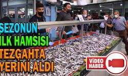 SEZONUN İLK HAMSİSİ TEZGAHTA YERİNİ ALDI