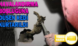 HAVALANDIRMA BOŞLUĞUNA DÜŞEN KEDİ KURTARILDI