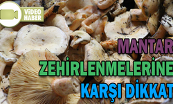 MANTAR ZEHİRLENMELERİNE KARŞI DİKKAT