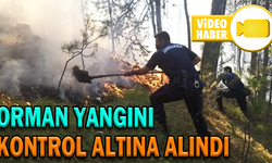 ÇIKAN ORMAN YANGINI KONTROL ALTINA ALINDI