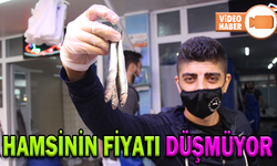HAMSİNİN FİYATI DÜŞMÜYOR, LÜFERDE BOLLUK VAR