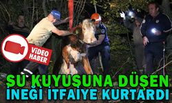 SU KUYUSUNA DÜŞEN İNEĞİ İTFAİYE KURTARDI