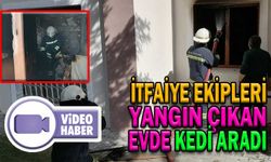 İTFAİYE EKİPLERİ YANGIN ÇIKAN EVDE KEDİ ARADI