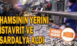 HAMSİNİN YERİNİ İSTAVRİT VE SARDALYA ALDI