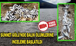 SÜNNET GÖLÜ'NDE BALIK ÖLÜMLERİNE İNCELEME BAŞLATILDI