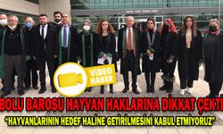 BOLU BAROSU HAYVAN HAKLARINA DİKKAT ÇEKTİ