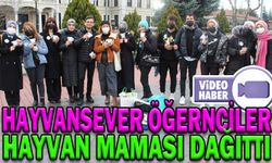 HAYVANSEVER ÖĞRENCİLER HAYVAN MAMASI DAĞITTI