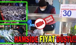 HAMSİDE FİYAT DÜŞTÜ