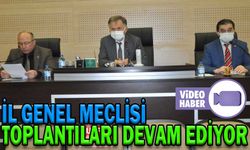 İL GENEL MECLİSİ TOPLANTILARI DEVAM EDİYOR