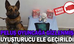 OYUNCAĞIN İÇİNE SAKLADIĞI UYUŞTURUCU HAPLARLA YAKALANDI